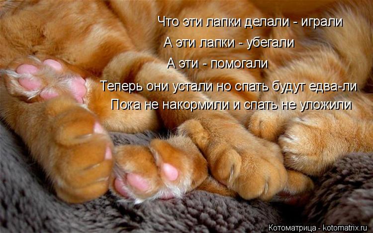 Котоматрица: Что эти лапки делали - играли А эти лапки - убегали А эти - помогали Пока не накормили и спать не уложили Теперь они устали но спать будут едва