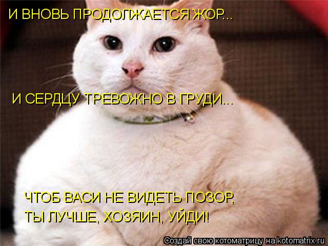 Котоматрица: И ВНОВЬ ПРОДОЛЖАЕТСЯ ЖОР... И СЕРДЦУ ТРЕВОЖНО В ГРУДИ... ЧТОБ ВАСИ НЕ ВИДЕТЬ ПОЗОР, ТЫ ЛУЧШЕ, ХОЗЯИН, УЙДИ!