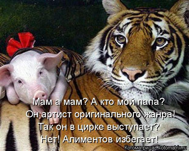 Котоматрица: Мам а мам? А кто мой папа? Он артист оригинального жанра! Так он в цирке выступает? Нет! Алиментов избегает!