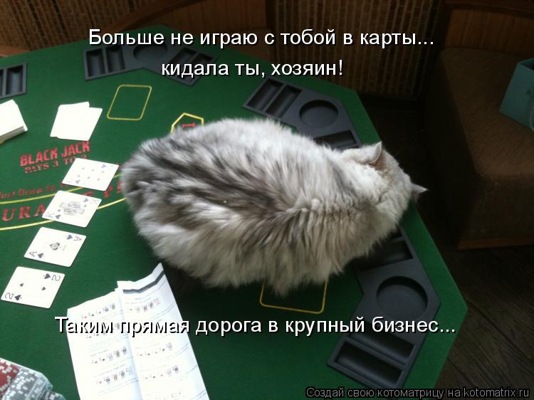 Больше не играю с тобой в карты... кидала ты, хозяин! Таким прямая дорога в крупный бизнес...... Котоматрица: Больше не играю с тобой в карты... кидала ты, хозяин! Таким прямая дорога в крупный бизнес...