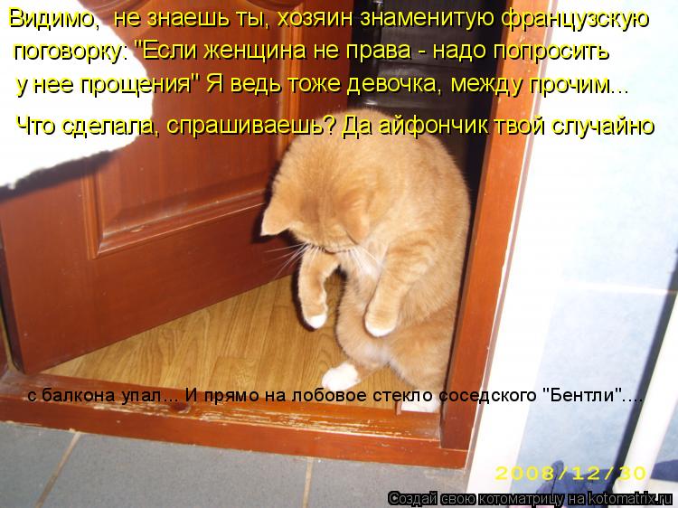 Котоматрица: Видимо,  не знаешь ты, хозяин знаменитую французскую  поговорку: "Если женщина не права - надо попросить   у нее прощения" Я ведь тоже девочка, 