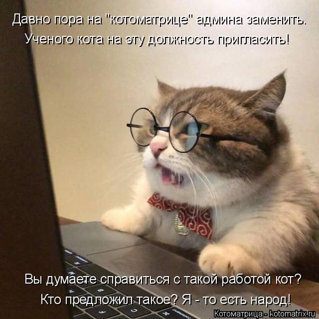 Давно пора на "котоматрице" админа заменить. Ученого кота на эту должность пригласить! Кто предложил... Котоматрица: Давно пора на "котоматрице" админа заменить. Ученого кота на эту должность пригласить! Кто предложил такое? Я - то есть народ! Вы думаете спр?