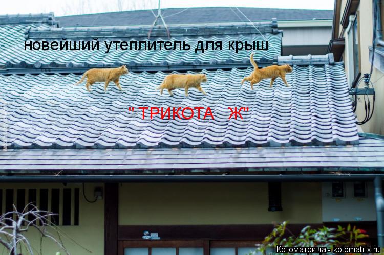 новейший утеплитель для крыш " ТРИКОТА Ж"... Котоматрица: новейший утеплитель для крыш " ТРИКОТА Ж"