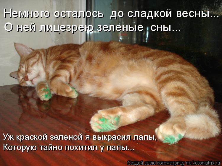 Немного осталось до сладкой весны... Уж краской зеленой я выкрасил лапы, Которую тайно похитил у па... Котоматрица: Немного осталось до сладкой весны... Уж краской зеленой я выкрасил лапы, Которую тайно похитил у папы... О ней лицезрею зеленые сны...