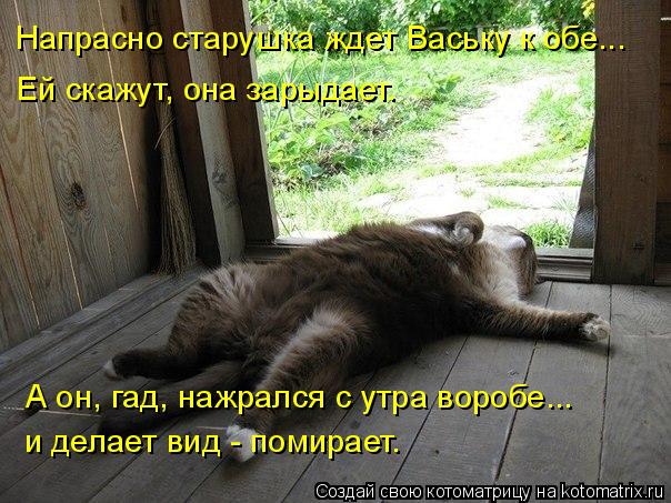 Напрасно старушка ждет Ваську к обе... Ей скажут, она зарыдает. А он, гад, нажрался с утра воробе... ... Котоматрица: Напрасно старушка ждет Ваську к обе... Ей скажут, она зарыдает. А он, гад, нажрался с утра воробе... и делает вид - помирает.