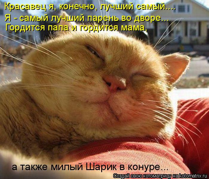Красавец я, конечно, лучший самый.... Я - самый лучший парень во дворе... Гордится папа и гордится ма... Котоматрица: Красавец я, конечно, лучший самый.... Я - самый лучший парень во дворе... Гордится папа и гордится мама, а также милый Шарик в конуре...