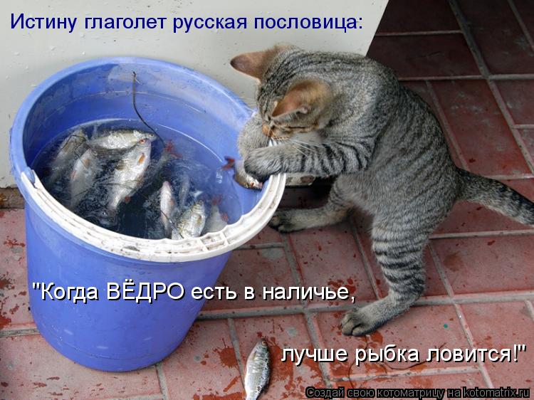 Истину глаголет русская пословица: "Когда ВЁДРО есть в наличье, лучше рыбка ловится!"... Котоматрица: Истину глаголет русская пословица: "Когда ВЁДРО есть в наличье, лучше рыбка ловится!"