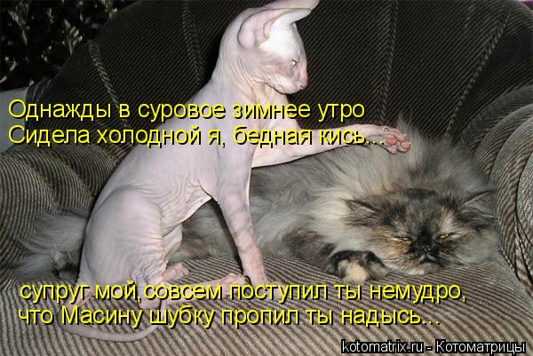 Однажды в суровое зимнее утро Сидела холодной я, бедная кись... супруг мой,совсем поступил ты немудро... Котоматрица: Однажды в суровое зимнее утро Сидела холодной я, бедная кись... супруг мой,совсем поступил ты немудро, что Масину шубку пропил ты надысь...