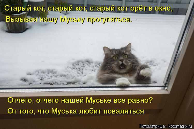 Котоматрица: Старый кот, старый кот, старый кот орёт в окно, Вызывая нашу Муську прогуляться. Отчего, отчего нашей Муське все равно? От того, что Муська лю?