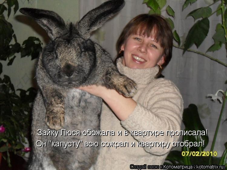 Зайку Люся обожала и в квартире прописала! Он "капусту" всю сожрал и квартиру отобрал!... Котоматрица: Зайку Люся обожала и в квартире прописала! Он "капусту" всю сожрал и квартиру отобрал!