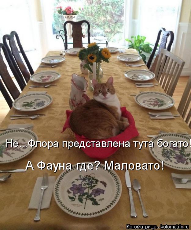Не...Флора представлена тута богато! А Фауна где? Маловато!... Котоматрица: Не...Флора представлена тута богато! А Фауна где? Маловато!