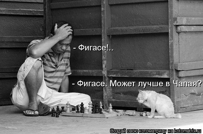 - Фигасе!.. - Фигасе. Может лучше в Чапая?... Котоматрица: - Фигасе!.. - Фигасе. Может лучше в Чапая?