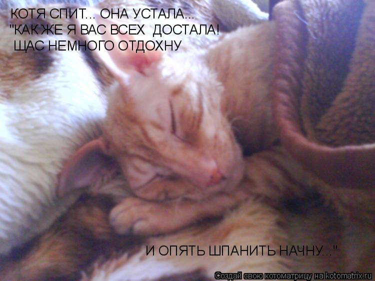 КОТЯ СПИТ... ОНА УСТАЛА... "КАК ЖЕ Я ВАС ВСЕХ ДОСТАЛА! ЩАС НЕМНОГО ОТДОХНУ И ОПЯТЬ ШПАНИТЬ НАЧНУ..."... Котоматрица: КОТЯ СПИТ... ОНА УСТАЛА... "КАК ЖЕ Я ВАС ВСЕХ ДОСТАЛА! ЩАС НЕМНОГО ОТДОХНУ И ОПЯТЬ ШПАНИТЬ НАЧНУ..."