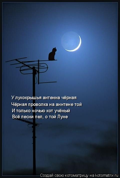 Котоматрица: У лукокрышья антенна чёрная Чёрная проволка на аннтене той И только ночью кот учёный  Всё песни пел, о той Луне