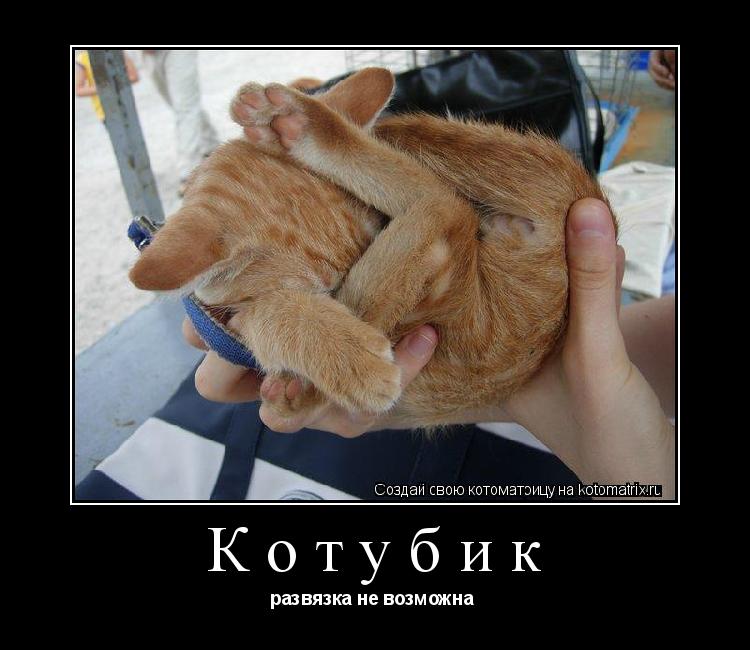 Котубик развязка не возможна ... Котоматрица: Котубик развязка не возможна