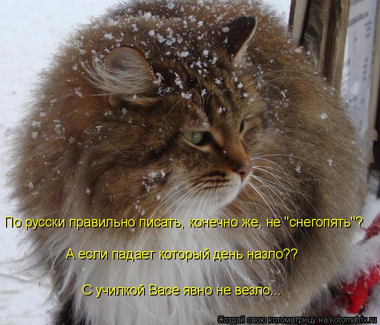 По русски правильно писать, конечно же, не "снегопять"? А если падает который день назло?? С училкой ... Котоматрица: По русски правильно писать, конечно же, не "снегопять"? А если падает который день назло?? С училкой Васе явно не везло...