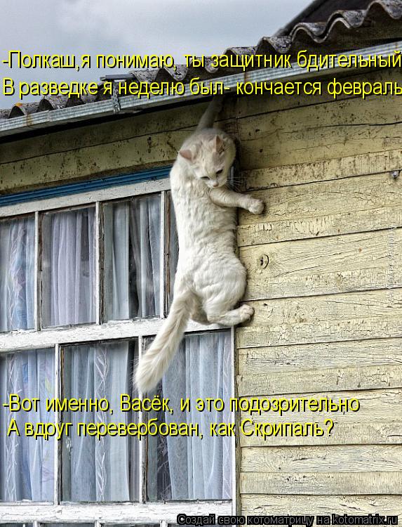 -Полкаш,я понимаю, ты защитник бдительный В разведке я неделю был- кончается февраль -Вот именно, Ва... Котоматрица: -Полкаш,я понимаю, ты защитник бдительный В разведке я неделю был- кончается февраль -Вот именно, Васёк, и это подозрительно А вдруг перевер?