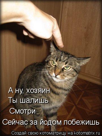 Ты шалишь Смотри Сейчас за йодом побежишь А ну, хозяин... Котоматрица: Ты шалишь Смотри Сейчас за йодом побежишь А ну, хозяин