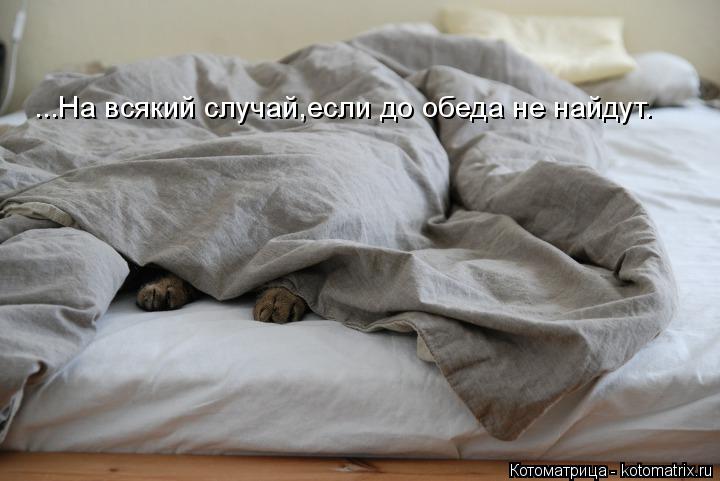 ...На всякий случай,если до обеда не найдут.... Котоматрица: ...На всякий случай,если до обеда не найдут.
