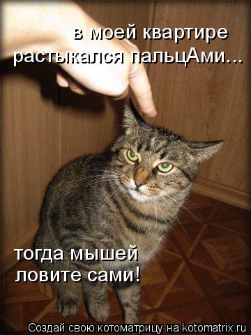 в моей квартире растыкался пальцАми... тогда мышей ловите сами!... Котоматрица: в моей квартире растыкался пальцАми... тогда мышей ловите сами!