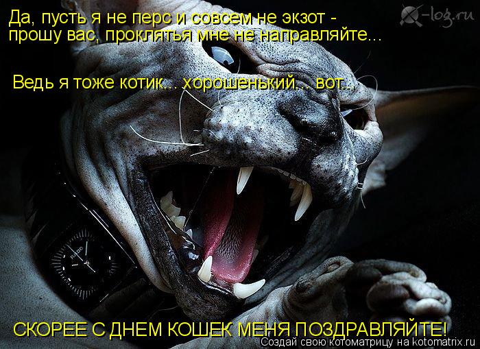 Да, пусть я не перс и совсем не экзот - прошу вас, проклятья мне не направляйте... Ведь я тоже котик... Котоматрица: Да, пусть я не перс и совсем не экзот - прошу вас, проклятья мне не направляйте... Ведь я тоже котик... хорошенький... вот... СКОРЕЕ С ДНЕМ КОШЕК М?