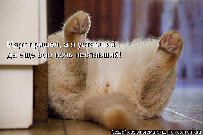 Март пришел, а я уставший... да еще всю ночь неспавший!... Котоматрица: Март пришел, а я уставший... да еще всю ночь неспавший!