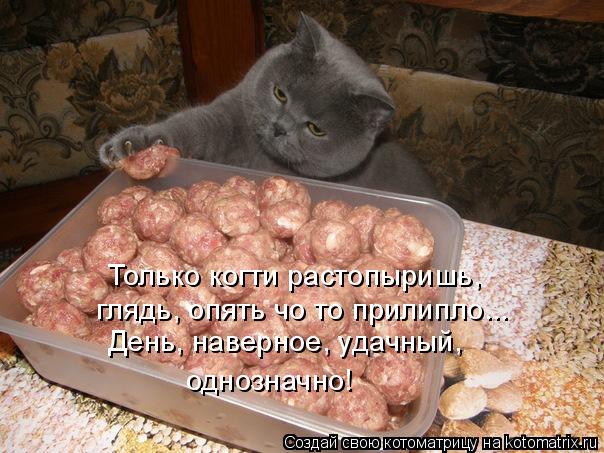 Только когти растопыришь, глядь, опять чо то прилипло... День, наверное, удачный, однозначно!... Котоматрица: Только когти растопыришь, глядь, опять чо то прилипло... День, наверное, удачный, однозначно!