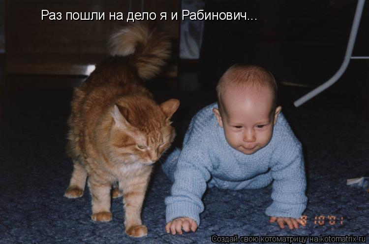 Котоматрица: Раз пошли на дело я и Рабинович...