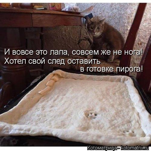 Котоматрица: И вовсе это лапа, совсем же не нога! Хотел свой след оставить  в готовке пирога!