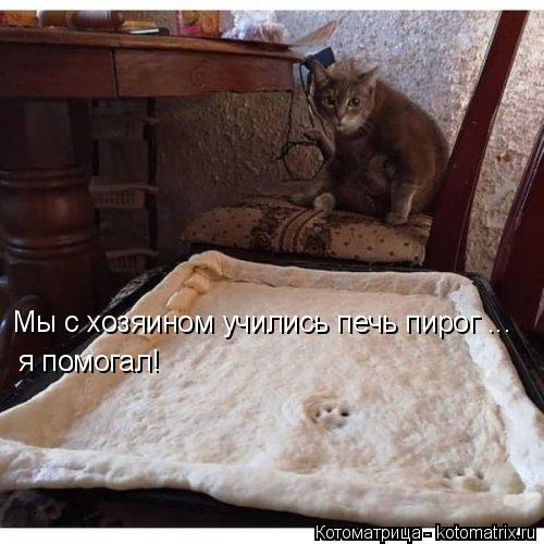 Мы с хозяином учились печь пирог ... я помогал!... Котоматрица: Мы с хозяином учились печь пирог ... я помогал!