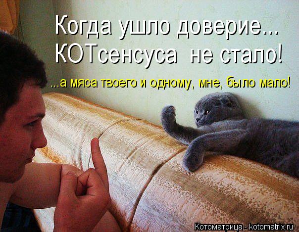 Когда ушло доверие... КОТсенсуса не стало! ...а мяса твоего и одному, мне, было мало!... Котоматрица: Когда ушло доверие... КОТсенсуса не стало! ...а мяса твоего и одному, мне, было мало!