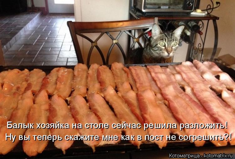 Ну вы теперь скажите мне как в пост не согрешить?! Балык хозяйка на столе сейчас решила разложить!... Котоматрица: Ну вы теперь скажите мне как в пост не согрешить?! Балык хозяйка на столе сейчас решила разложить!