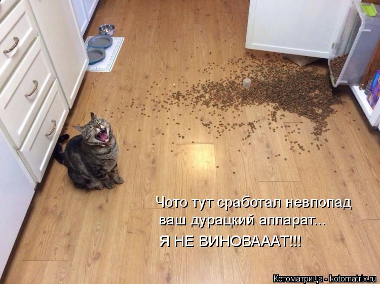 Чото тут сработал невпопад ваш дурацкий аппарат... Я НЕ ВИНОВАААТ!!! Я НЕ ВИНОВАААТ!!!... Котоматрица: Чото тут сработал невпопад ваш дурацкий аппарат... Я НЕ ВИНОВАААТ!!! Я НЕ ВИНОВАААТ!!!