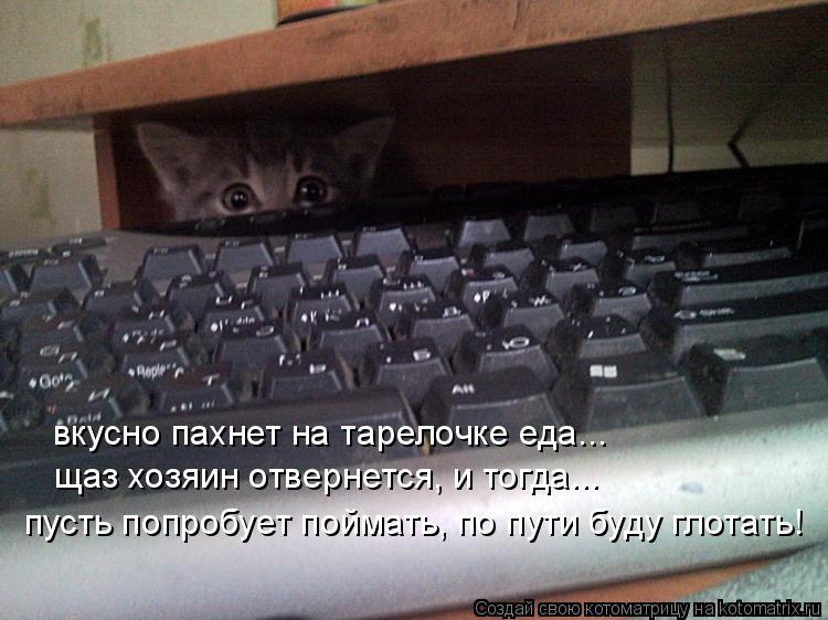 вкусно пахнет на тарелочке еда... щаз хозяин отвернется, и тогда... пусть попробует поймать, по пути ... Котоматрица: вкусно пахнет на тарелочке еда... щаз хозяин отвернется, и тогда... пусть попробует поймать, по пути буду глотать!