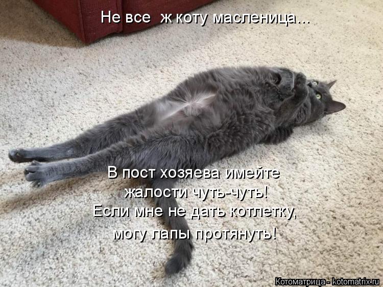 Если мне не дать котлетку, В пост хозяева имейте жалости чуть-чуть! могу лапы протянуть! Не все ж ко... Котоматрица: Если мне не дать котлетку, В пост хозяева имейте жалости чуть-чуть! могу лапы протянуть! Не все ж коту масленица...