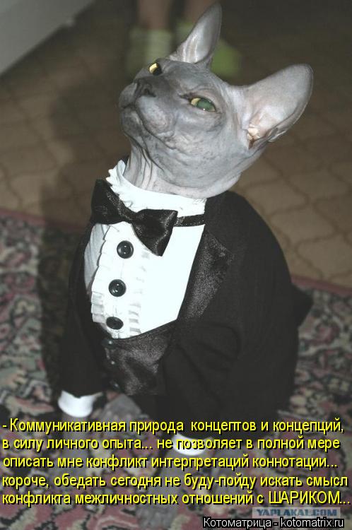 - Коммуникативная природа концептов и концепций, в силу личного опыта... не позволяет в полной мере ... Котоматрица: - Коммуникативная природа концептов и концепций, в силу личного опыта... не позволяет в полной мере описать мне конфликт интерпретаций кон?