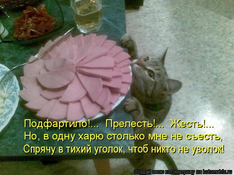 Подфартило!... Прелесть!... Жесть!... Но, в одну харю столько мне не съесть, Спрячу в тихий уголок,... Котоматрица: Подфартило!... Прелесть!... Жесть!... Но, в одну харю столько мне не съесть, Спрячу в тихий уголок, чтоб никто не уволок!