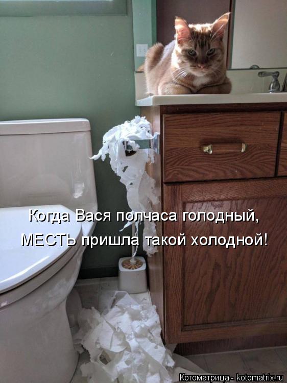 Когда Вася полчаса голодный, МЕСТЬ пришла такой холодной!... Котоматрица: Когда Вася полчаса голодный, МЕСТЬ пришла такой холодной!