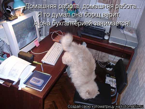 Домашняя работа, домашняя работа... Я то думал она борщ варит, А она бухгалтерией занимается!... Котоматрица: Домашняя работа, домашняя работа... Я то думал она борщ варит, А она бухгалтерией занимается!