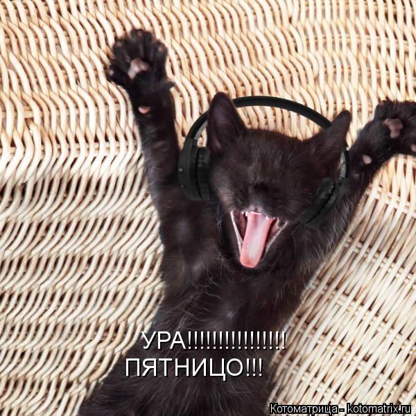 УРА!!!!!!!!!!!!!!!! ПЯТНИЦО!!!... Котоматрица: УРА!!!!!!!!!!!!!!!! ПЯТНИЦО!!!