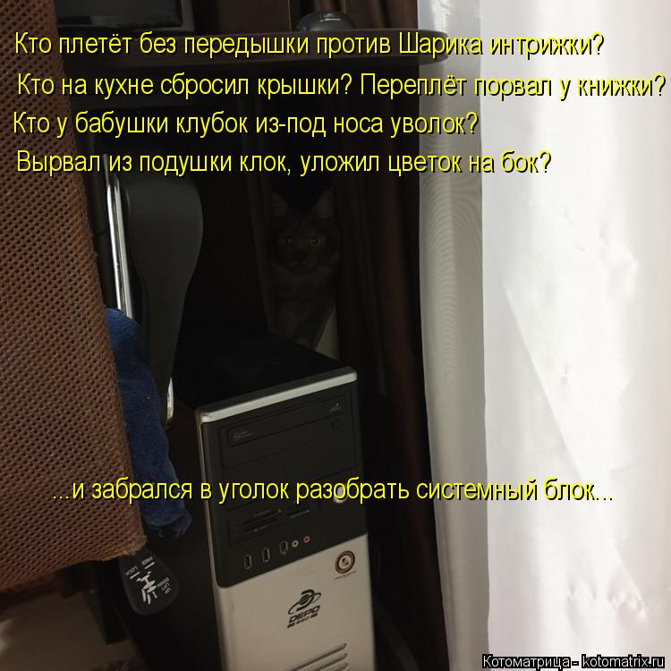 Кто плетёт без передышки против Шарика интрижки? Кто у бабушки клубок из-под носа уволок? Кто на кухн... Котоматрица: Кто плетёт без передышки против Шарика интрижки? Кто у бабушки клубок из-под носа уволок? Кто на кухне сбросил крышки? Переплёт порвал у кни?