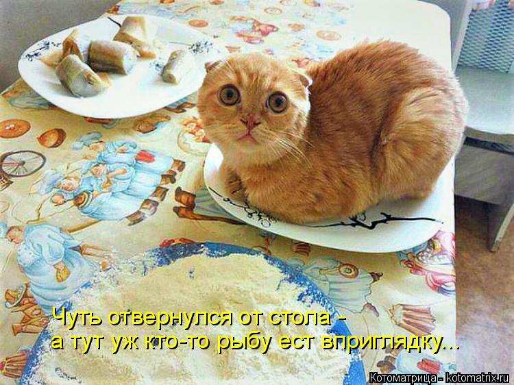 а тут уж кто-то рыбу ест вприглядку... Чуть отвернулся от стола -... Котоматрица: а тут уж кто-то рыбу ест вприглядку... Чуть отвернулся от стола -