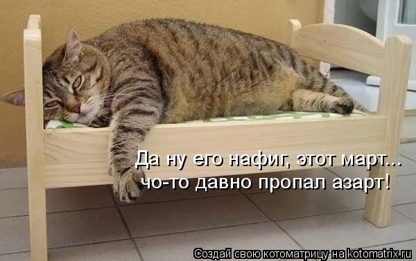Да ну его нафиг, этот март... чо-то давно пропал азарт!... Котоматрица: Да ну его нафиг, этот март... чо-то давно пропал азарт!