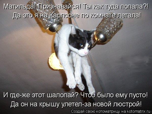 Матильда! Признавайся! Ты как туда попала?! Да это я на Карлсоне по комнате летала! Да он на крышу ул... Котоматрица: Матильда! Признавайся! Ты как туда попала?! Да это я на Карлсоне по комнате летала! Да он на крышу улетел-за новой люстрой! И где-же этот шалоп?