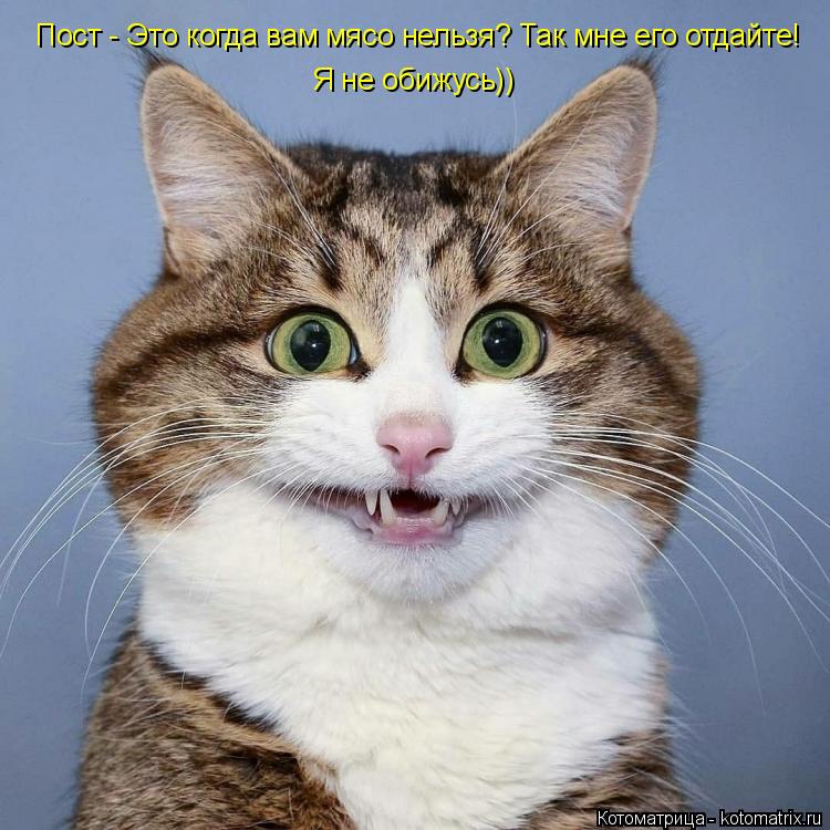 Пост - Это когда вам мясо нельзя? Так мне его отдайте! Я не обижусь))... Котоматрица: Пост - Это когда вам мясо нельзя? Так мне его отдайте! Я не обижусь))