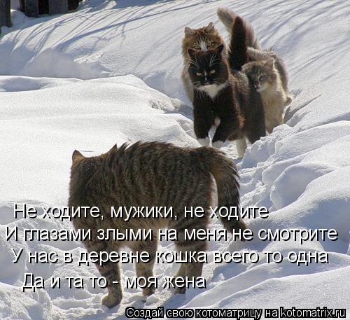 Не ходите, мужики, не ходите И глазами злыми на меня не смотрите У нас в деревне кошка всего то одна ... Котоматрица: Не ходите, мужики, не ходите И глазами злыми на меня не смотрите У нас в деревне кошка всего то одна Да и та то - моя жена