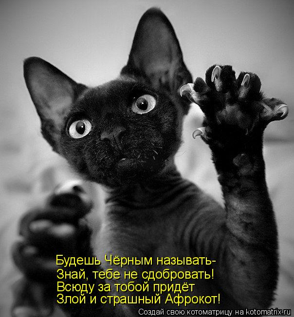 Будешь Чёрным называть- Знай, тебе не сдобровать! Всюду за тобой придёт Злой и страшный Афрокот!... Котоматрица: Будешь Чёрным называть- Знай, тебе не сдобровать! Всюду за тобой придёт Злой и страшный Афрокот!