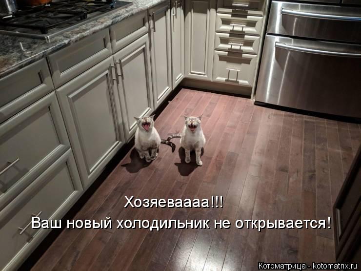 Хозяеваааа!!! Ваш новый холодильник не открывается!... Котоматрица: Хозяеваааа!!! Ваш новый холодильник не открывается!