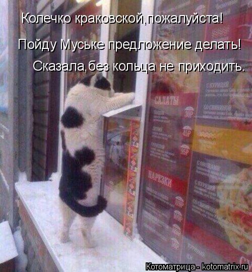 Колечко краковской,пожалуйста! Пойду Муське предложение делать! Сказала,без кольца не приходить.... Котоматрица: Колечко краковской,пожалуйста! Пойду Муське предложение делать! Сказала,без кольца не приходить.