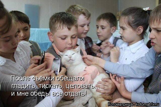 После съёмки обещали гладить, тискать, целовать... и мне обеды все отдать!... Котоматрица: После съёмки обещали гладить, тискать, целовать... и мне обеды все отдать!